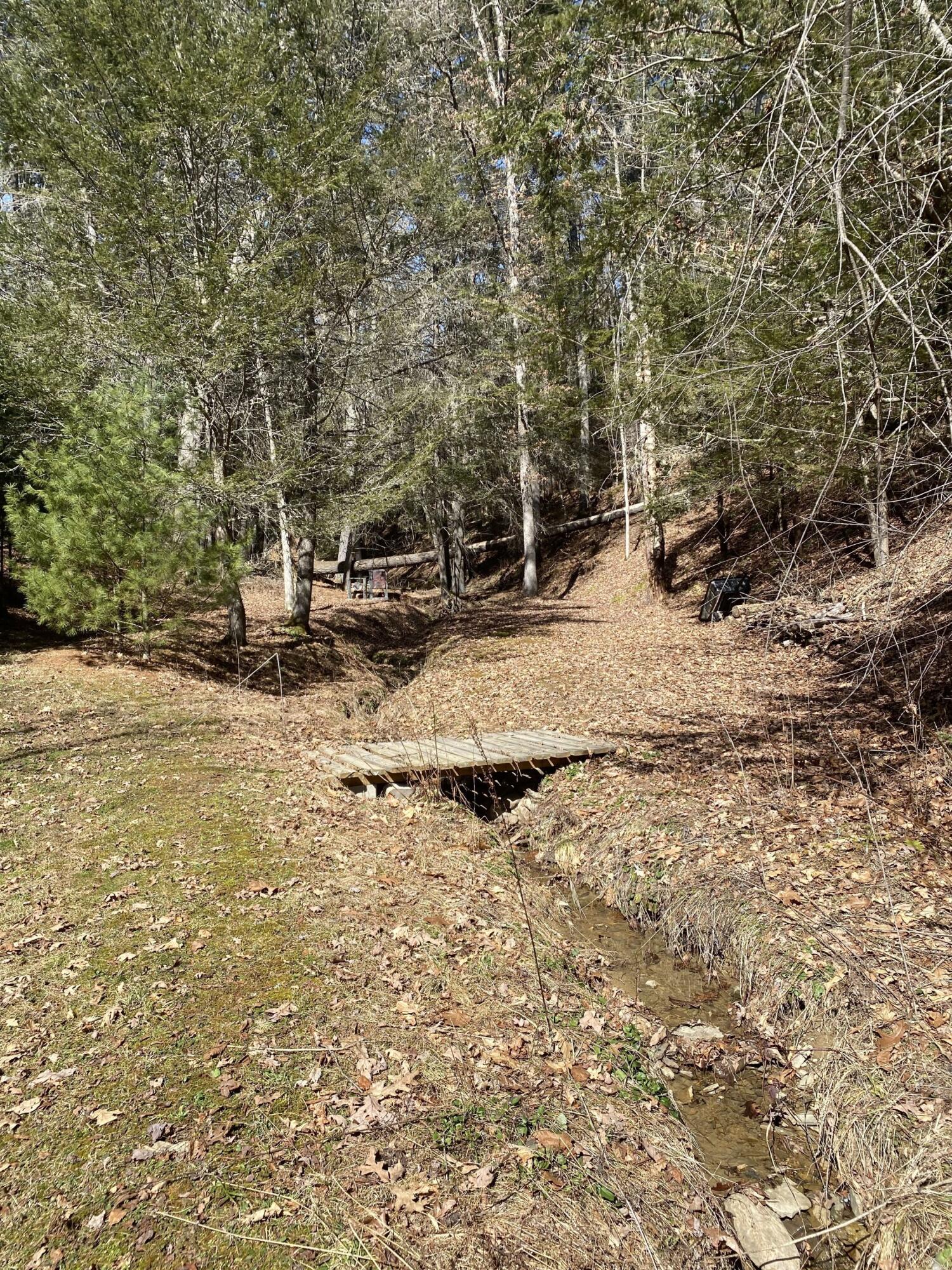 85 Green Acres Road Marlinton, WV 24954 - Photo 77 of 85 Gallery Image 77