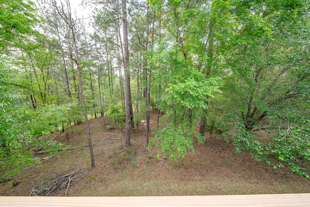 7373 Winding Ridge Road Columbus, GA 31904 - Photo 48 of 51 Gallery Image 48