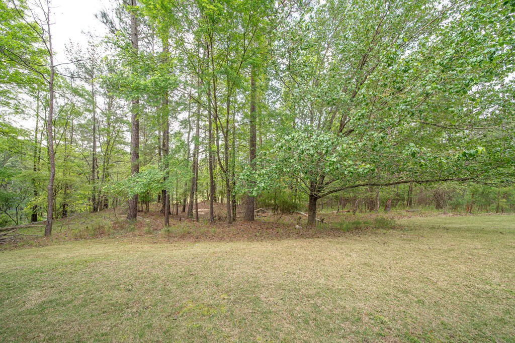 7373 Winding Ridge Road Columbus, GA 31904 - Photo 50 of 51 Gallery Image 50