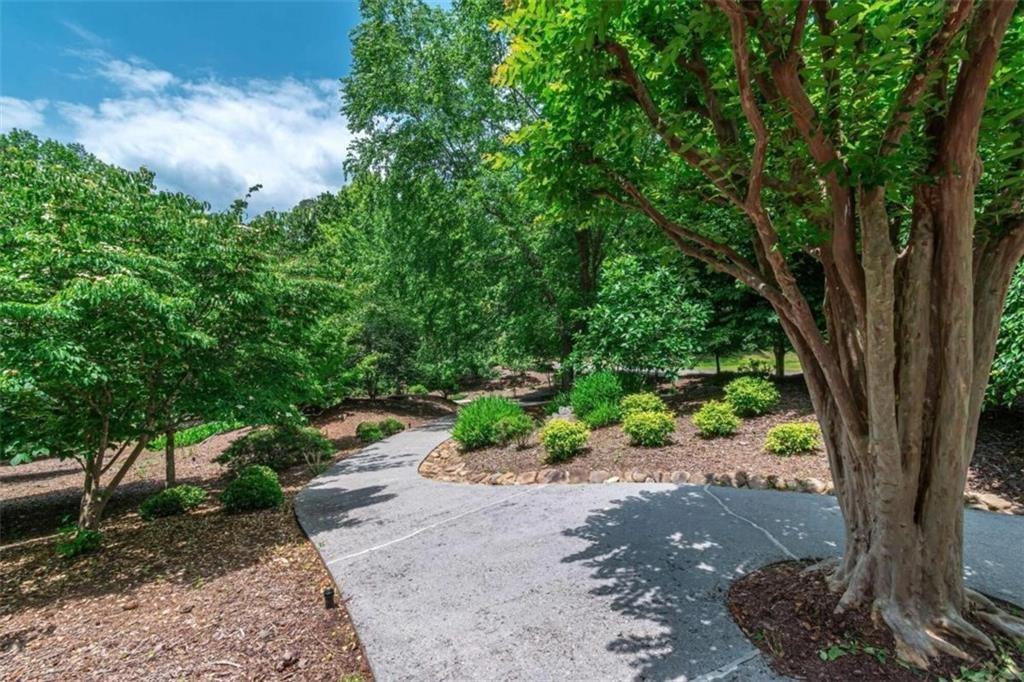 0 Trout Line Court Talking Rock, GA 30175 - Photo 37 of 50 a view of a garden