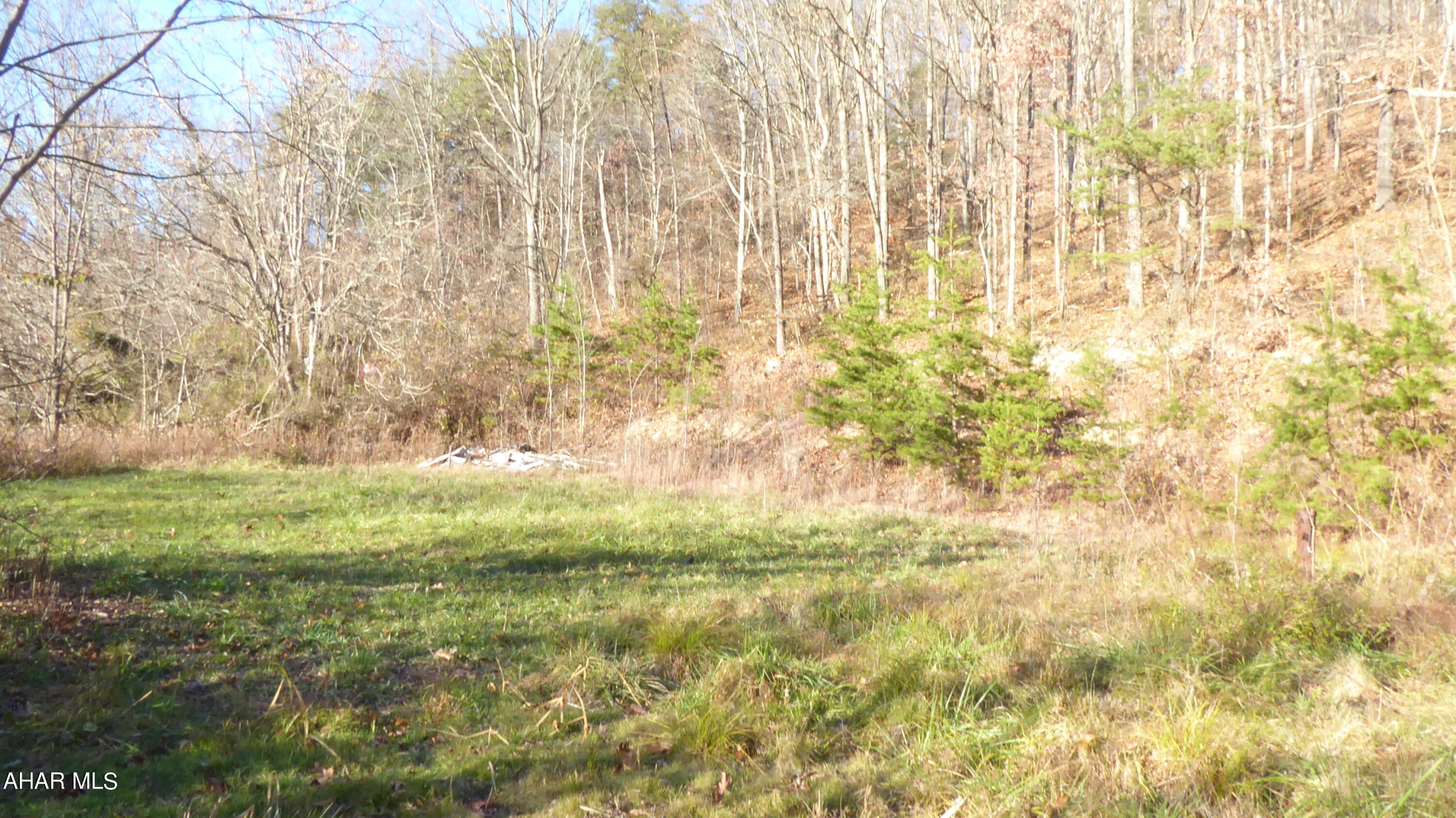 6381 B Raystown Road Hopewell, PA 16650 - Photo 4 of 16 Gallery Image 4