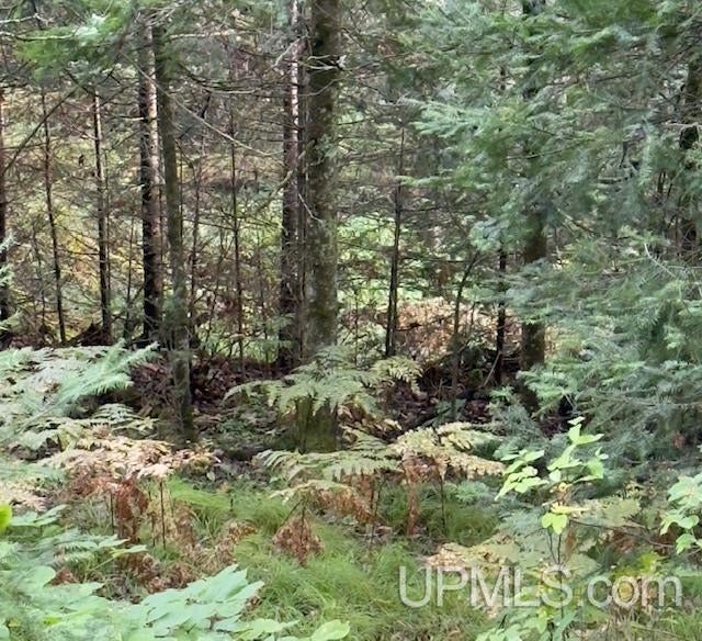 T-wi Loon Lake Road Florence, WI 54121 - Photo 4 of 27 Gallery Image 4