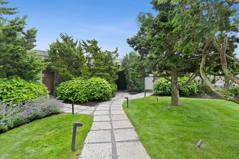 a view of a garden with trees