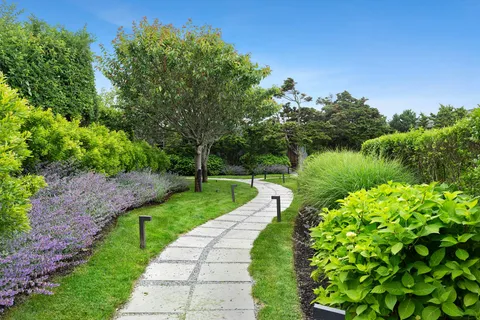 a view of a garden with plants and a lake view