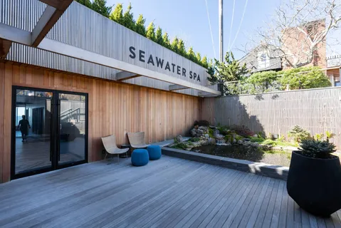 a potted plant sitting in front of a house