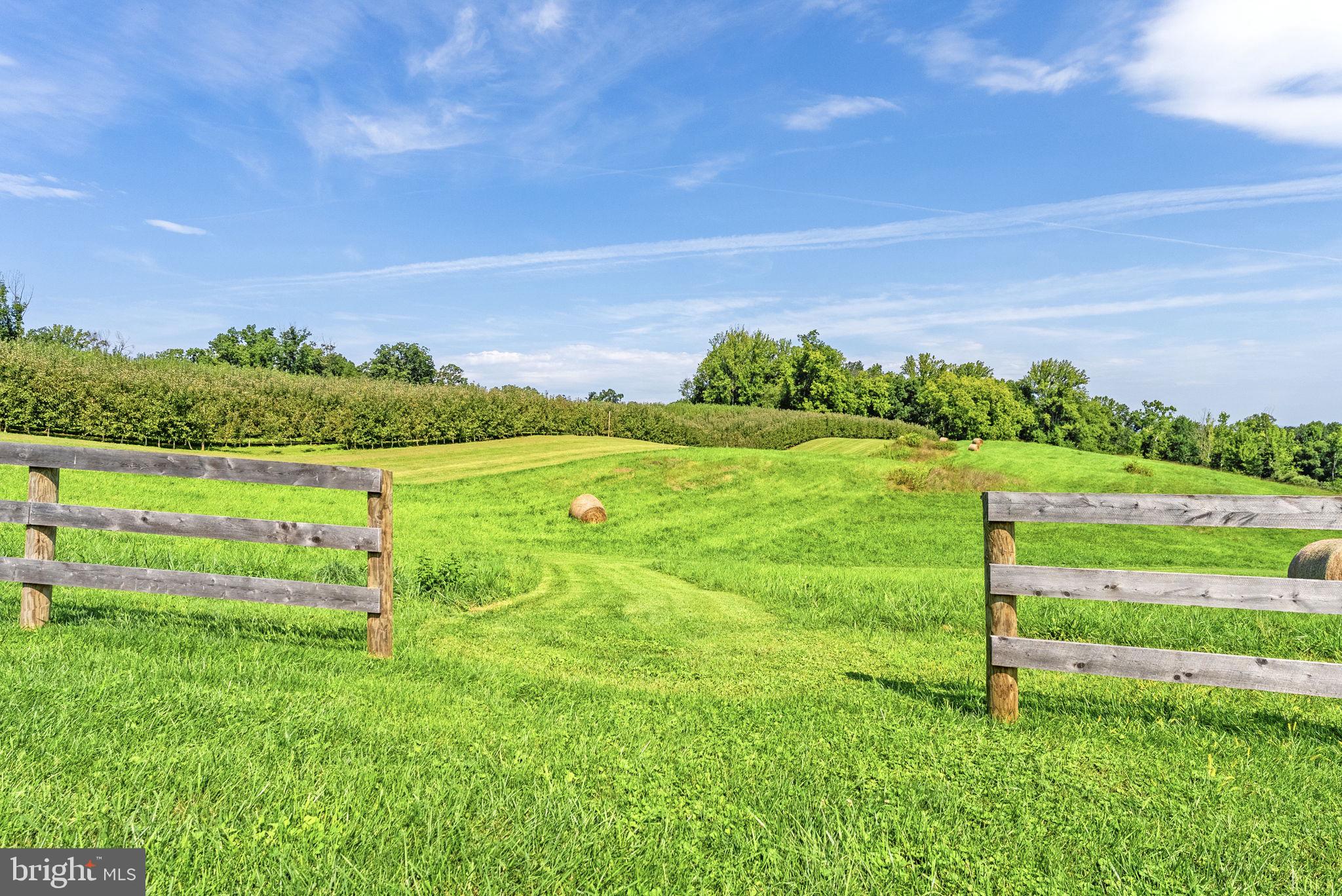 9470 Maidstone Road Delaplane, VA 20144 - Photo 48 of 80 Gallery Image 48