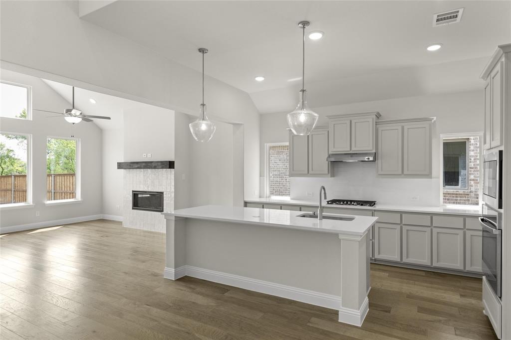 14462 McClint Street Pilot Point, TX 76258 - Photo 5 of 18 04_Grapevine II_Representative Photo