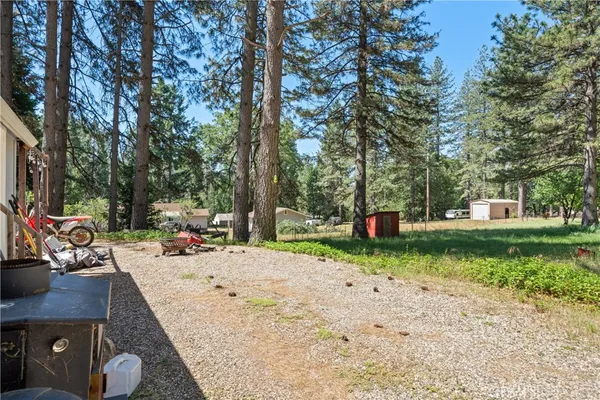 a view of a house with backyard and a tree