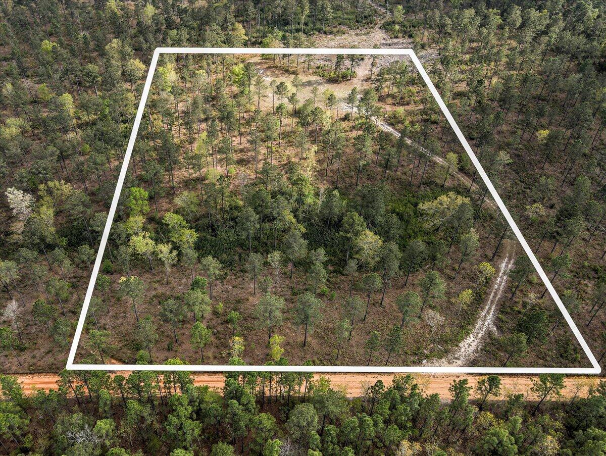 0 Deer Run Road, Unit E Williston, SC 29853 - Photo 5 of 15