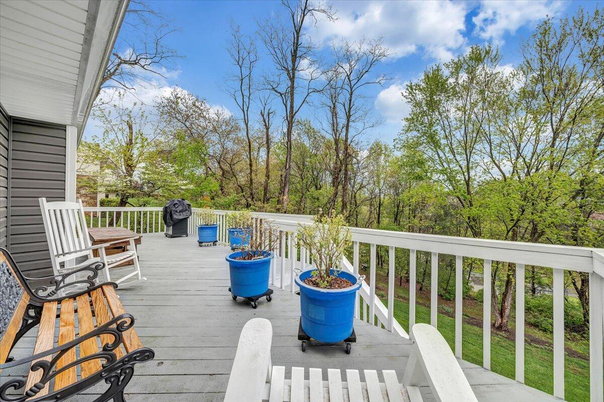 114 Apple Tree Road Roanoke, VA 24019 - Photo 34 of 43 29-MIB03980