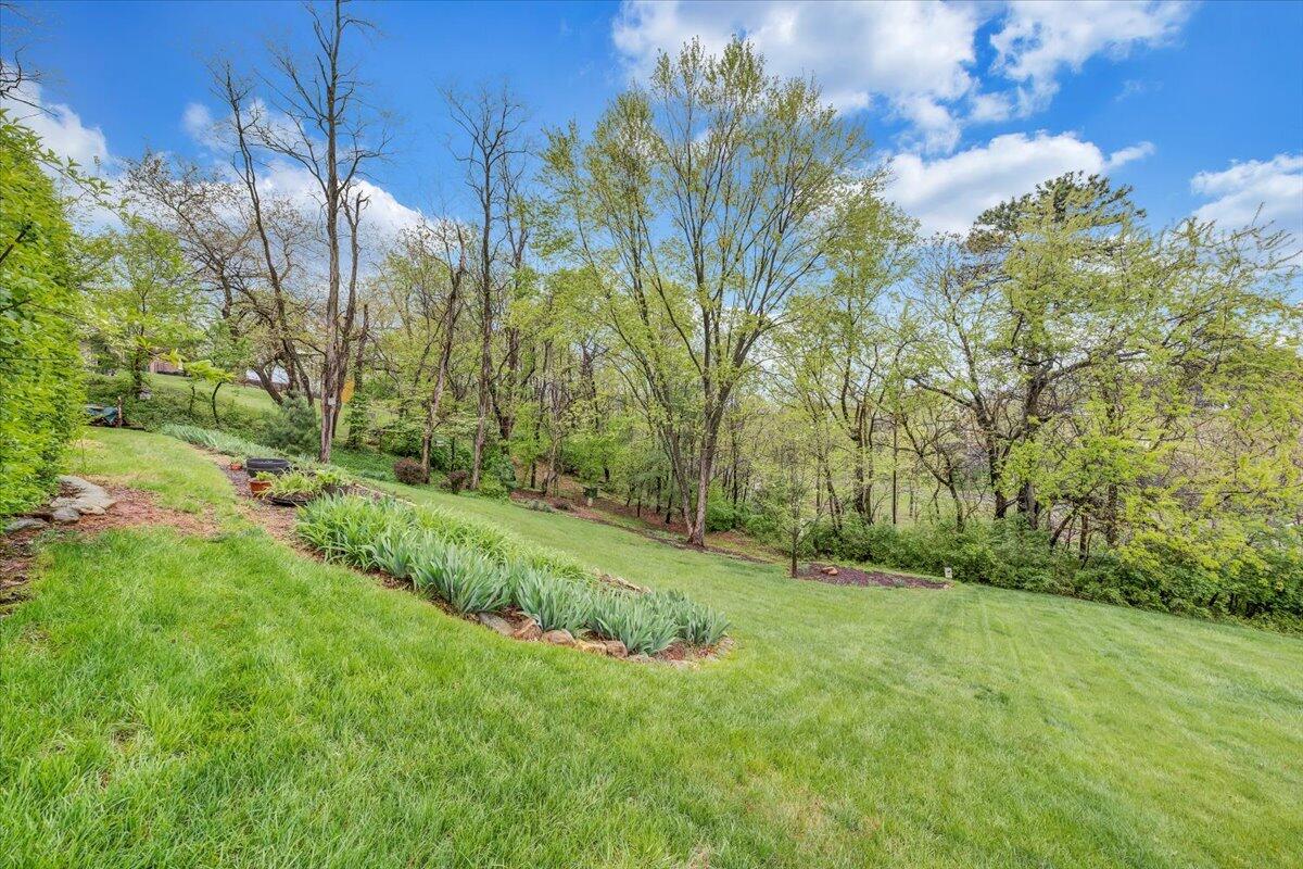 114 Apple Tree Road Roanoke, VA 24019 - Photo 37 of 43 32-MIB03989