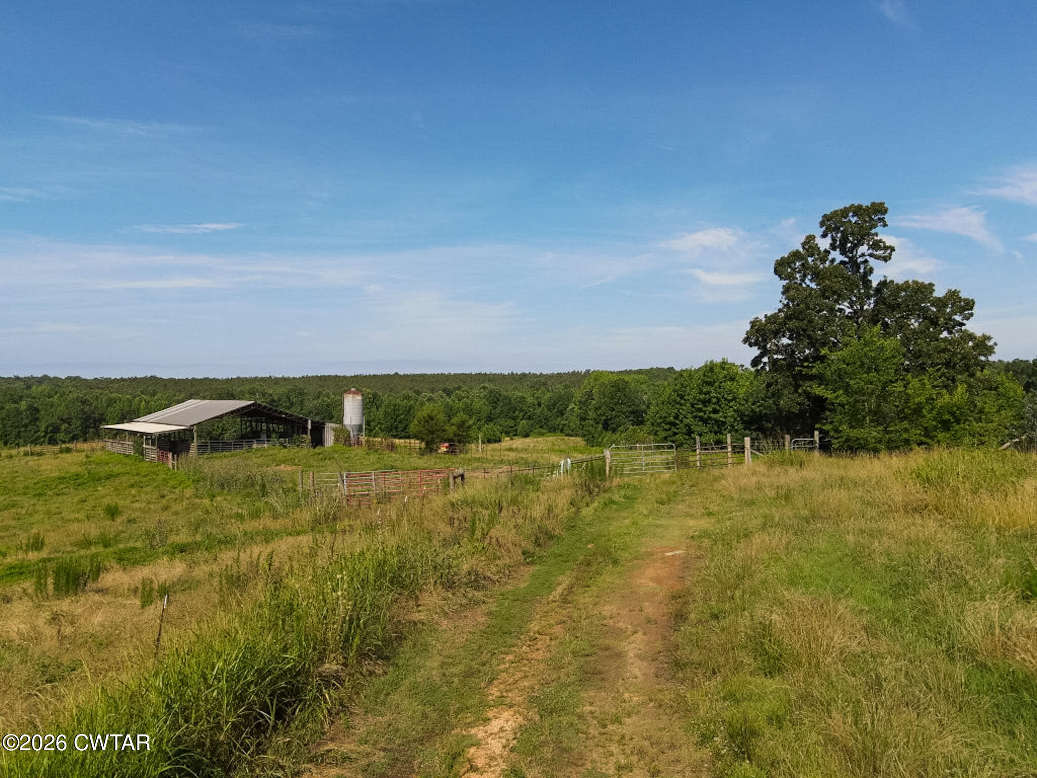 1074 McGee Road Scotts Hill, TN 38374 - Photo 2 of 38 DJI_0591 (Medium)