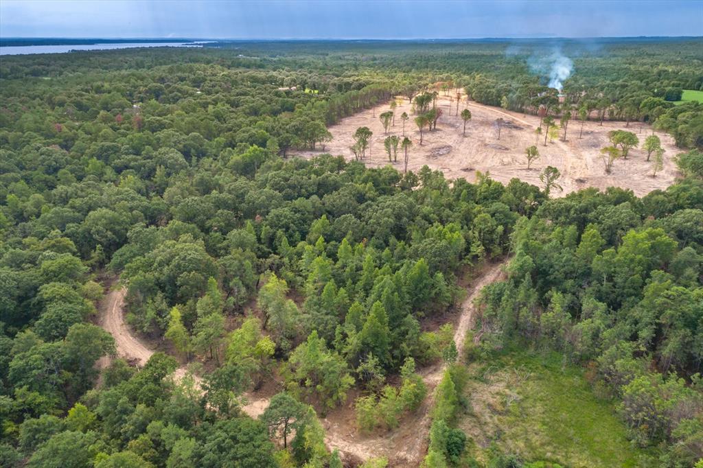 4307 Rd Larue Tx 75770 Road Larue, TX 75770 - Photo 15 of 17 Expansive land parcel featuring dense tree coverage, a cleared area with scattered trees, and visible dirt paths