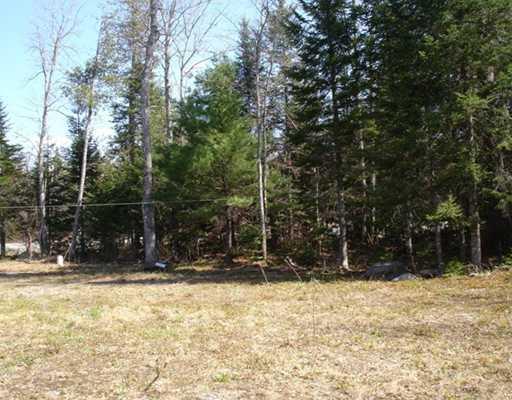 105 Cambridge Road Harmony, ME 04942 - Photo 14 of 18 Yard/Garden.