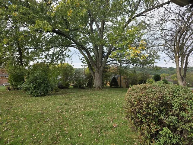 a view of a field with plants and trees