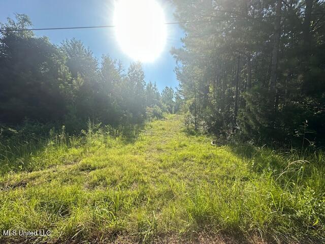 217 Knight Parker Road Meridian, MS 39301 - Photo 2 of 4 IMG_20251015_180639