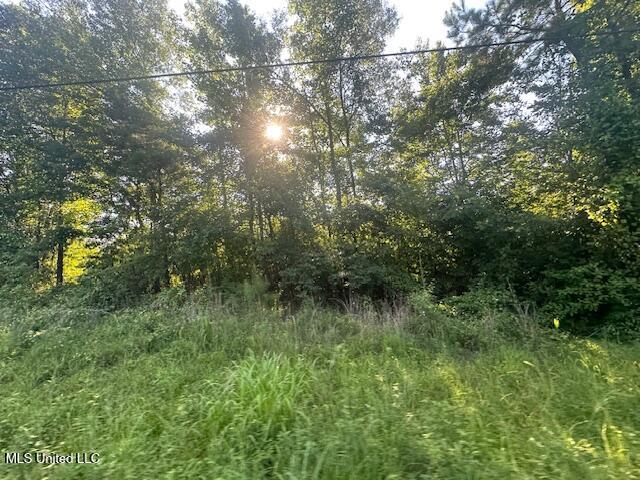 217 Knight Parker Road Meridian, MS 39301 - Photo 3 of 4 IMG_20251015_180640