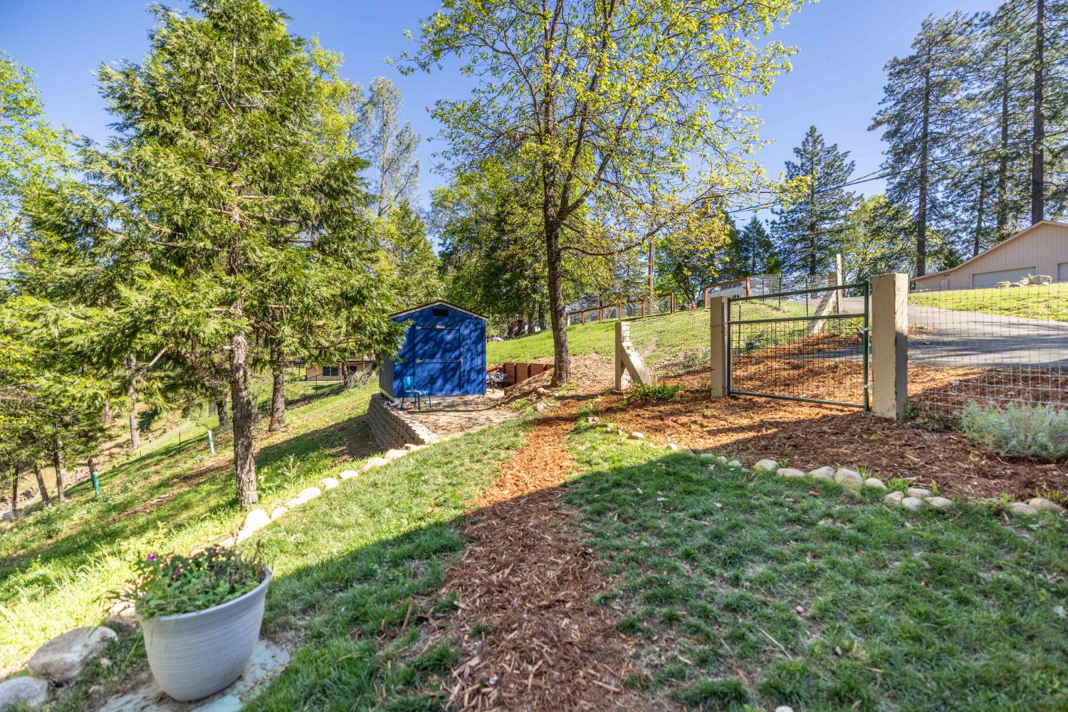 5015 Shooting Star Road Pollock Pines, CA 95726 - Photo 21 of 44 a view of a backyard with trees