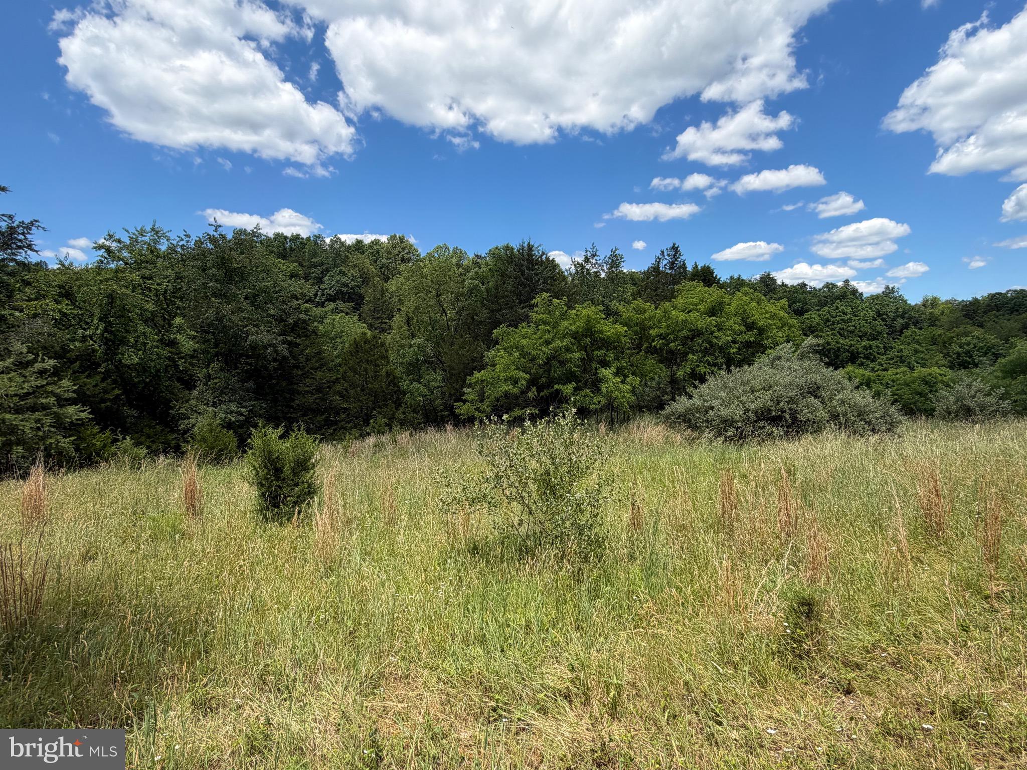 511 Chickadee Road Purgitsville, WV 26852 - Photo 21 of 99