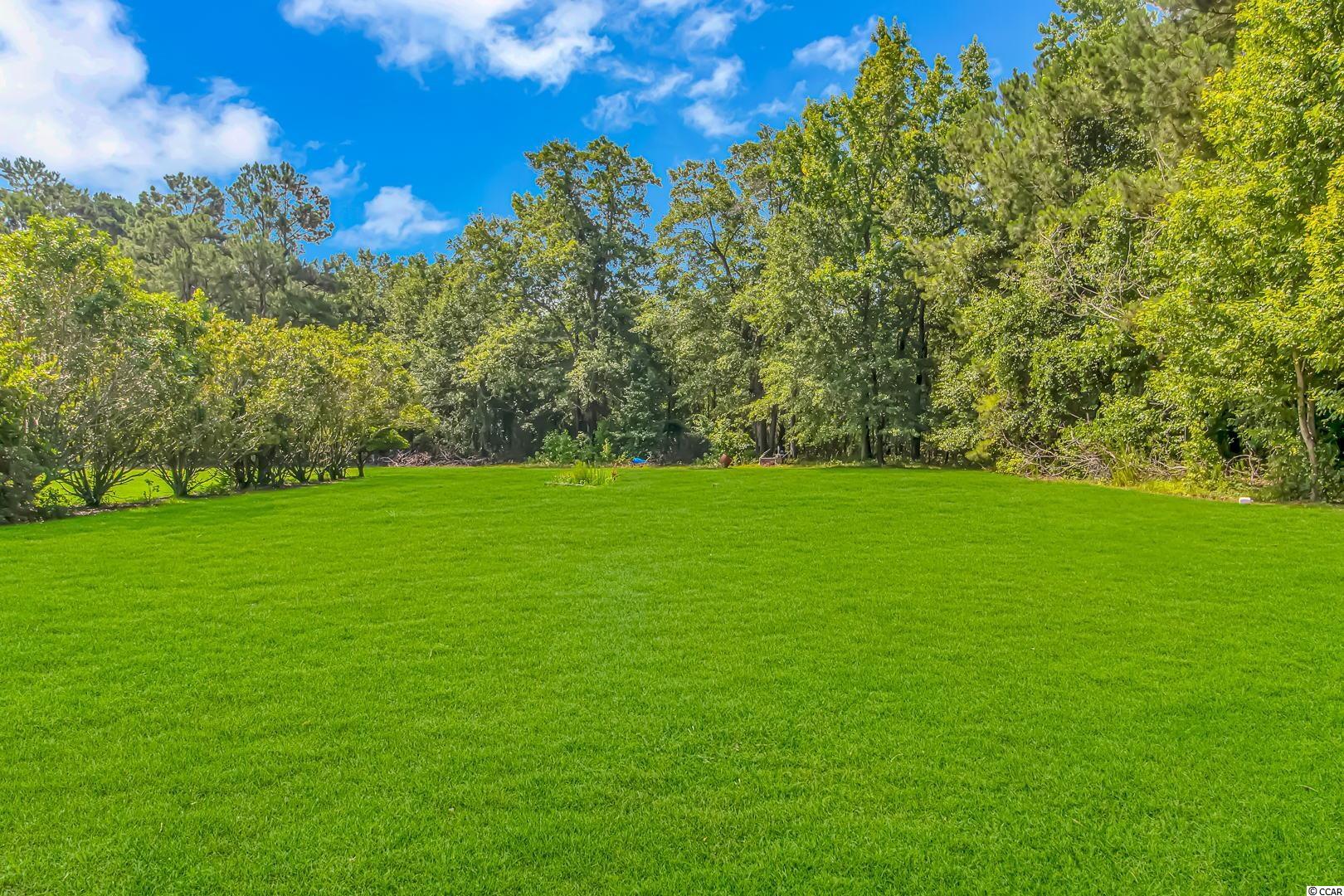 2816 Alligator Road Effingham, SC 29541 - Photo 17 of 20