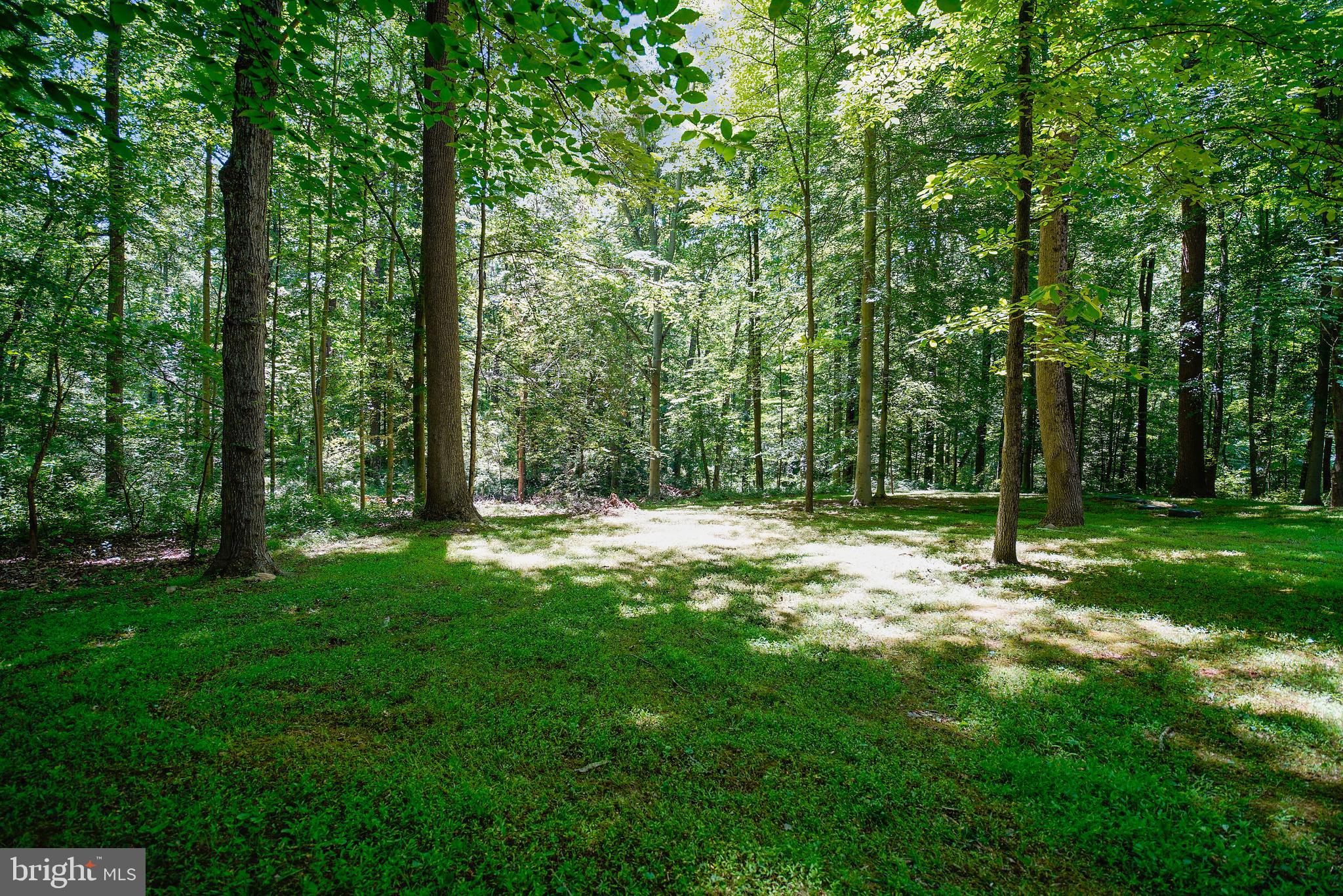 7157 Deer Valley Road Highland, MD 20777 - Photo 12 of 64 5 acres of privacy!