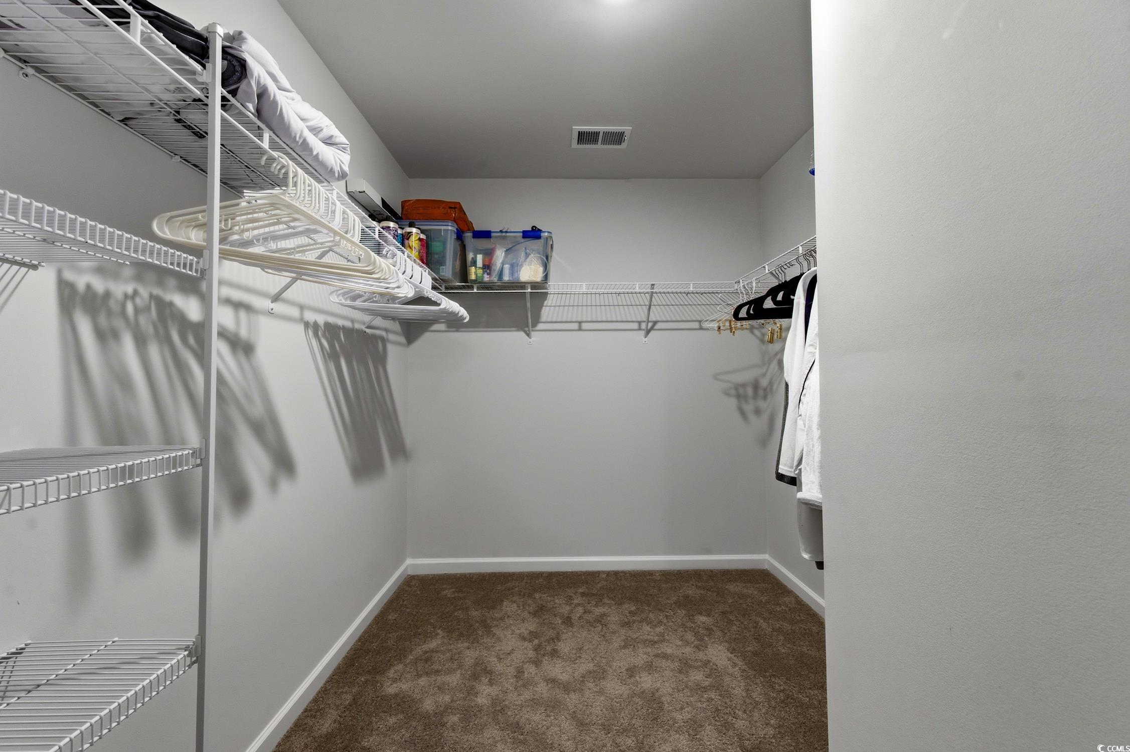 256 Country Grove Way Galivants Ferry, SC 29544 - Photo 12 of 22 Spacious closet with dark carpet