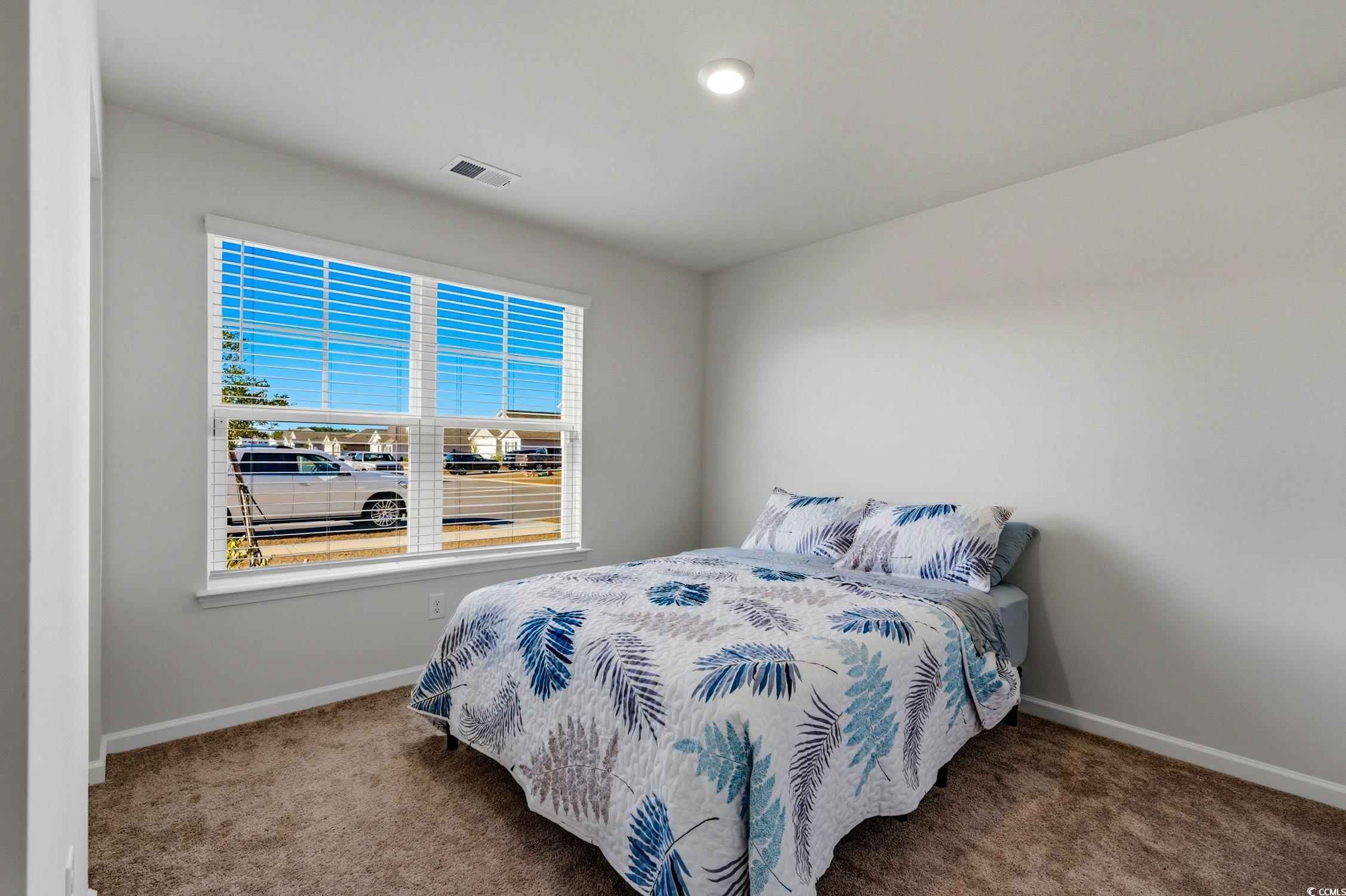 256 Country Grove Way Galivants Ferry, SC 29544 - Photo 13 of 22 Bedroom with carpet