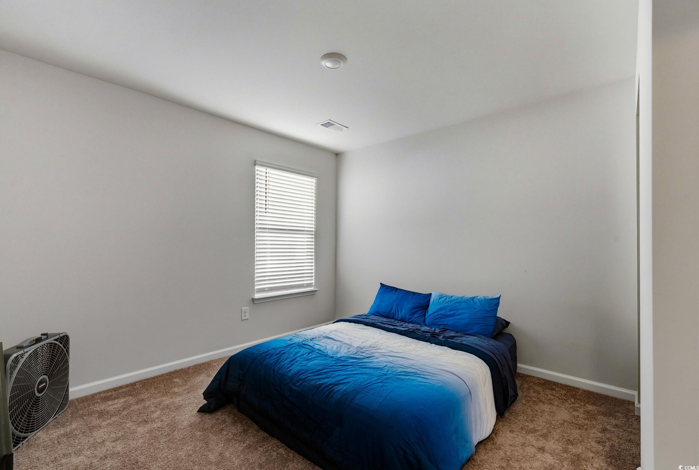 256 Country Grove Way Galivants Ferry, SC 29544 - Photo 14 of 22 Carpeted bedroom featuring baseboards