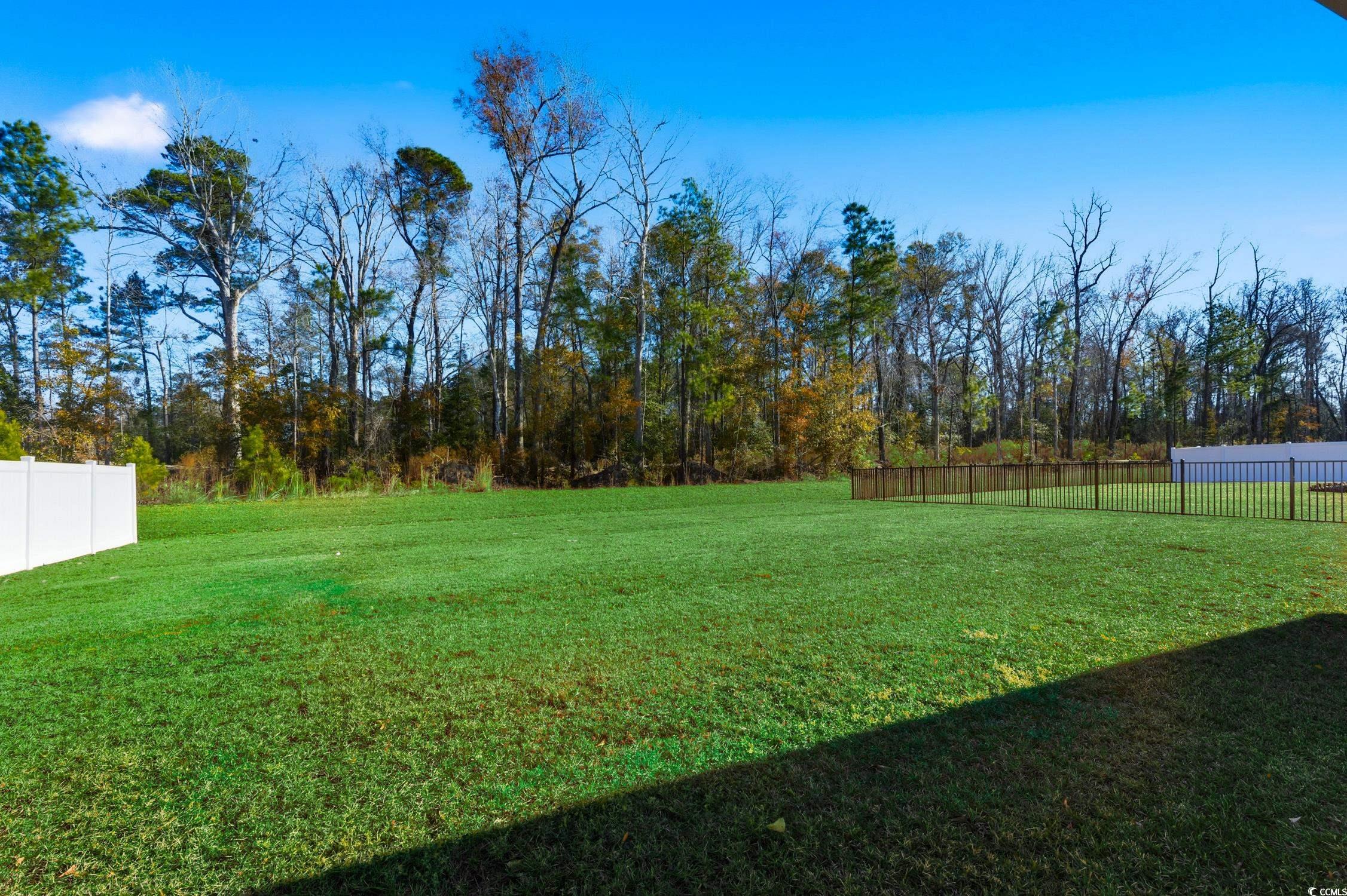 256 Country Grove Way Galivants Ferry, SC 29544 - Photo 19 of 22 View of fenced backyard