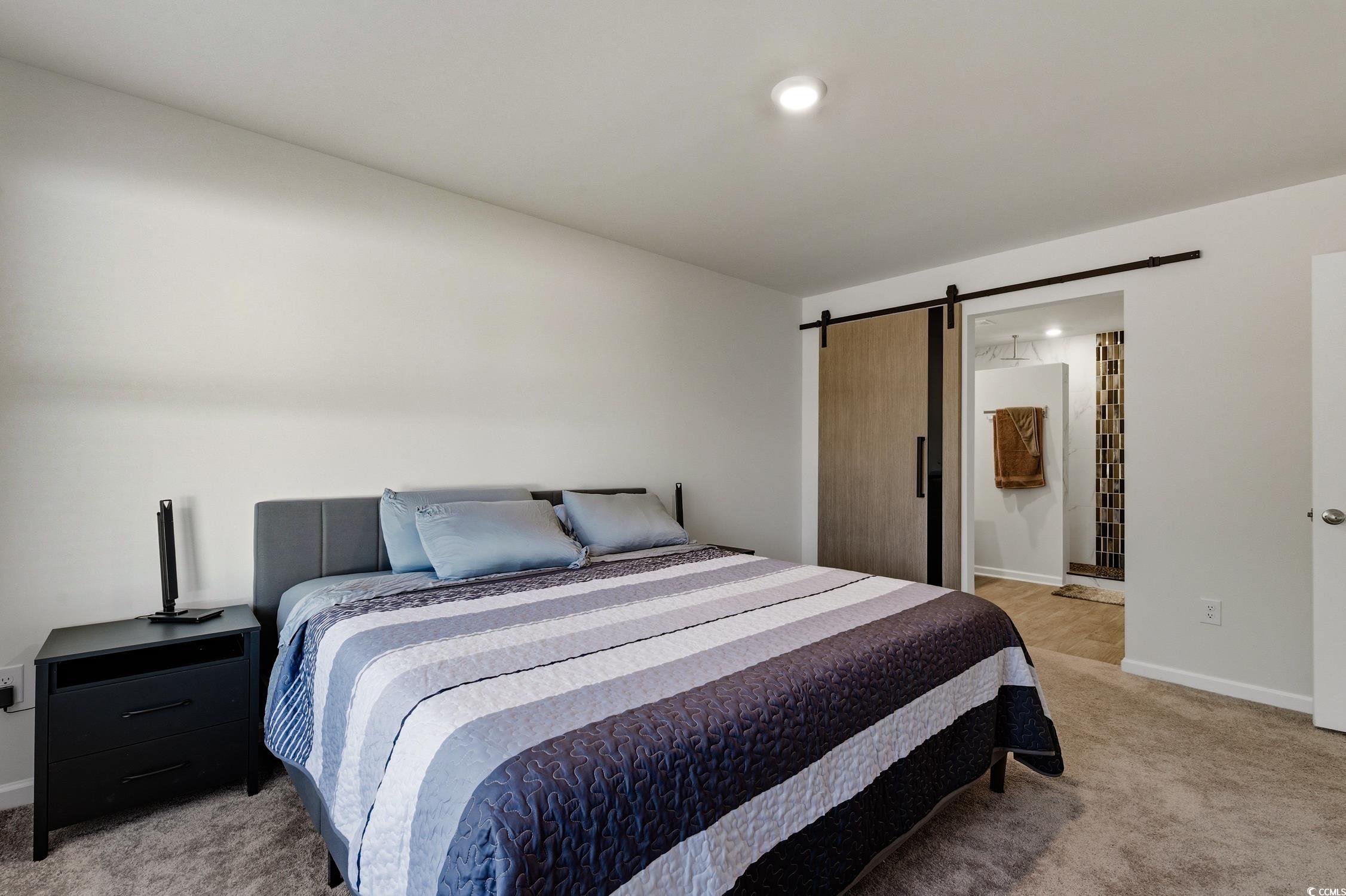 256 Country Grove Way Galivants Ferry, SC 29544 - Photo 9 of 22 Bedroom with light colored carpet, a barn door, and ensuite bath