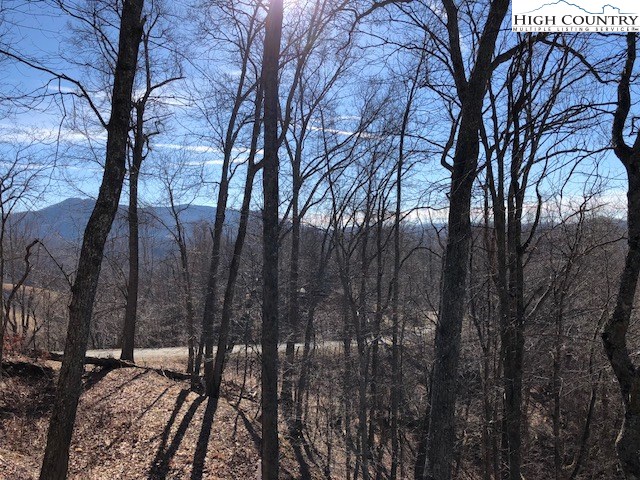 121 Bee Tree Ridge Lane Vilas, NC 28692 - Photo 27 of 30 Gallery Image 27