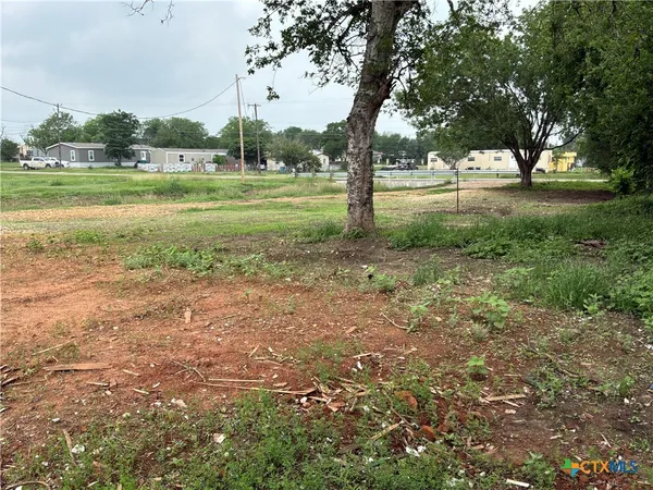 a view of a field with large trees