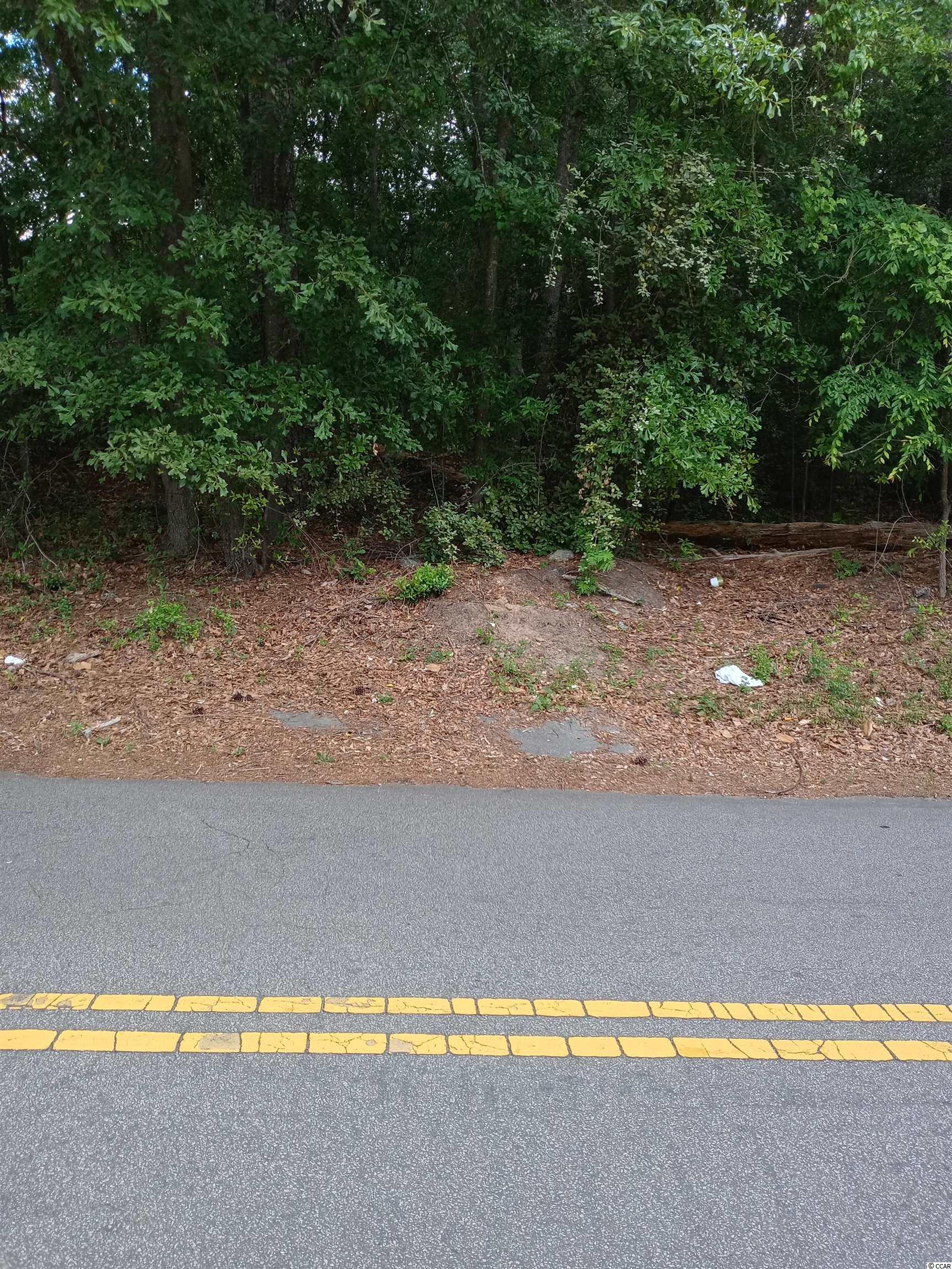 Tbd Saluda River Road Columbia, SC 29210 - Photo 1 of 1 Gallery Image 1
