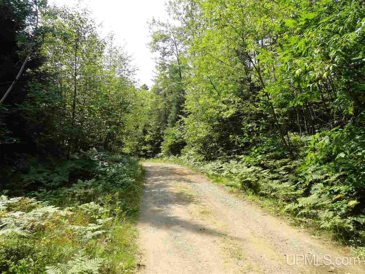 40-acres 40-acres Co Road Ishpeming, MI 49849 - Photo 5 of 36