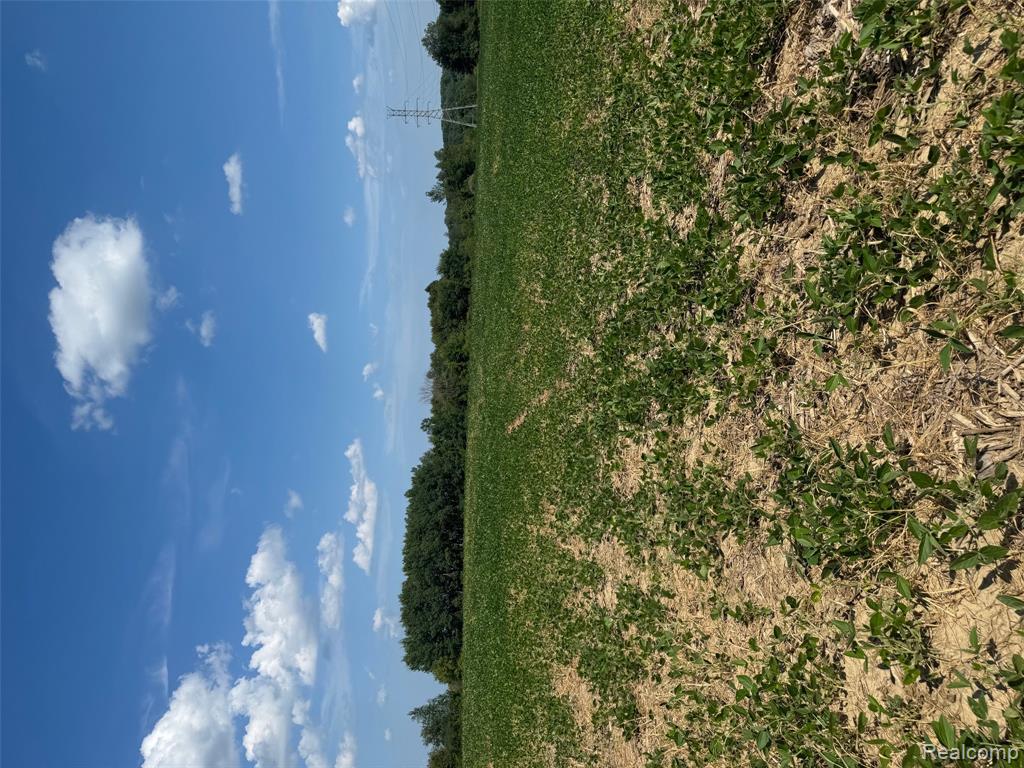 Vl South Mill Road Dryden, MI 48428 - Photo 3 of 13