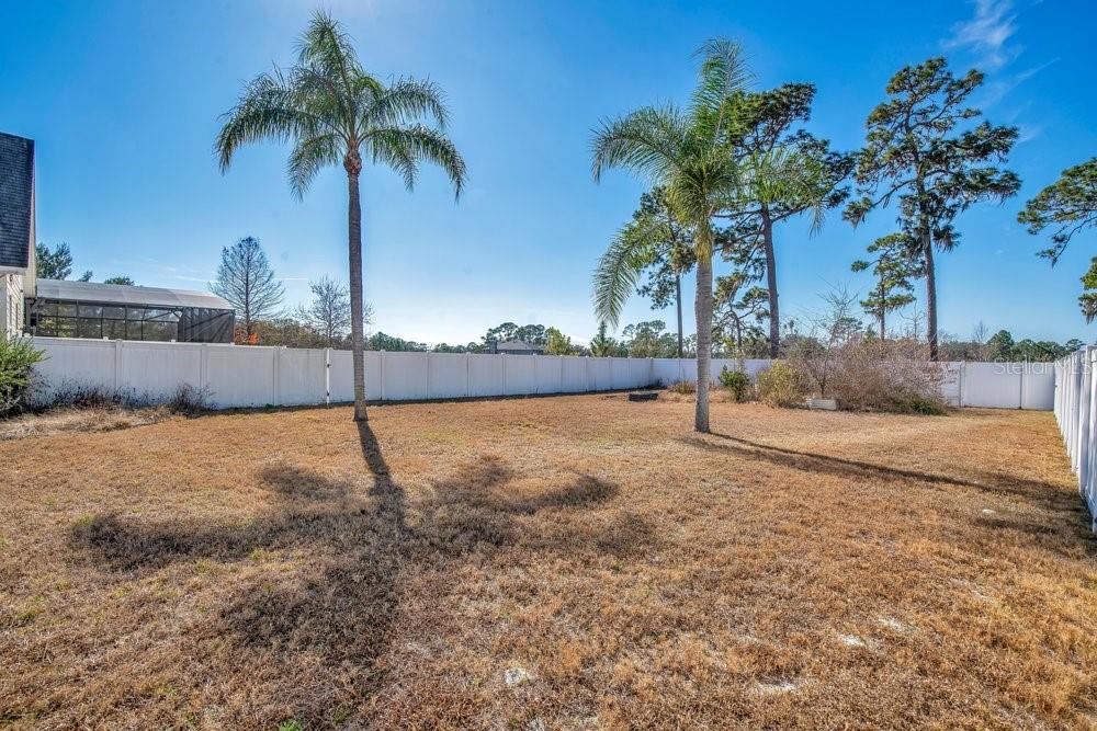 3160 Sixma Road Lake Helen, FL 32744 - Photo 6 of 35