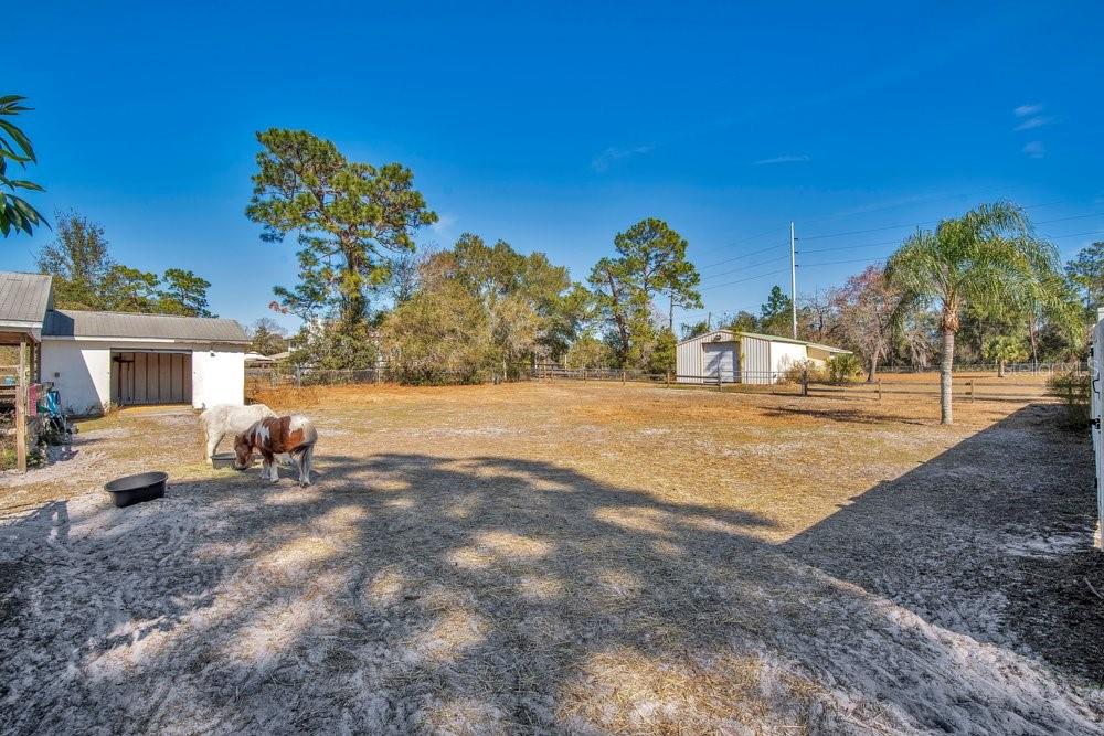 3160 Sixma Road Lake Helen, FL 32744 - Photo 10 of 35