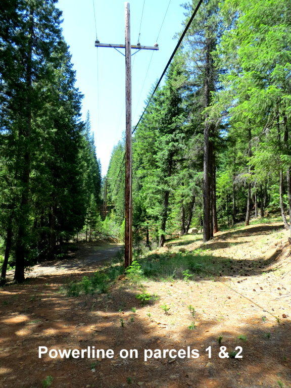Derrick Flat Road Trinity Center, CA 96091 - Photo 12 of 21 a view of a pathway of a yard
