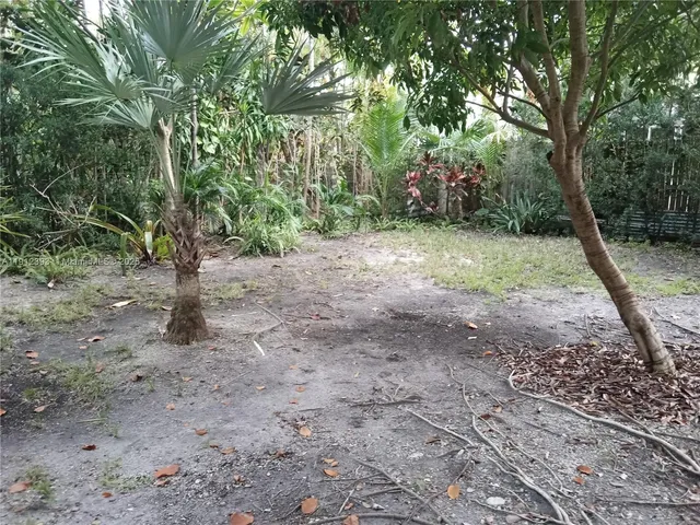 a view of a yard with plants and a large tree