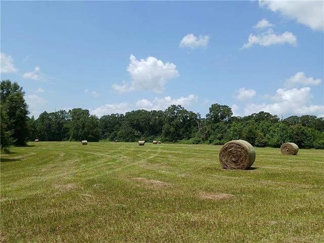 19288 Section Road Covington, LA 70435 - Photo 9 of 11 Gallery Image 9