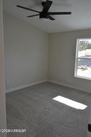 3821 Petersen Road Snowflake, AZ 85937 - Photo 20 of 26 20240605164030160743000000-o