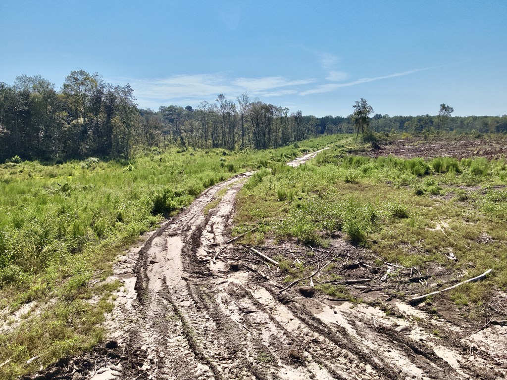 Undisclosed Address Slocomb, AL 36375 - Photo 5 of 23