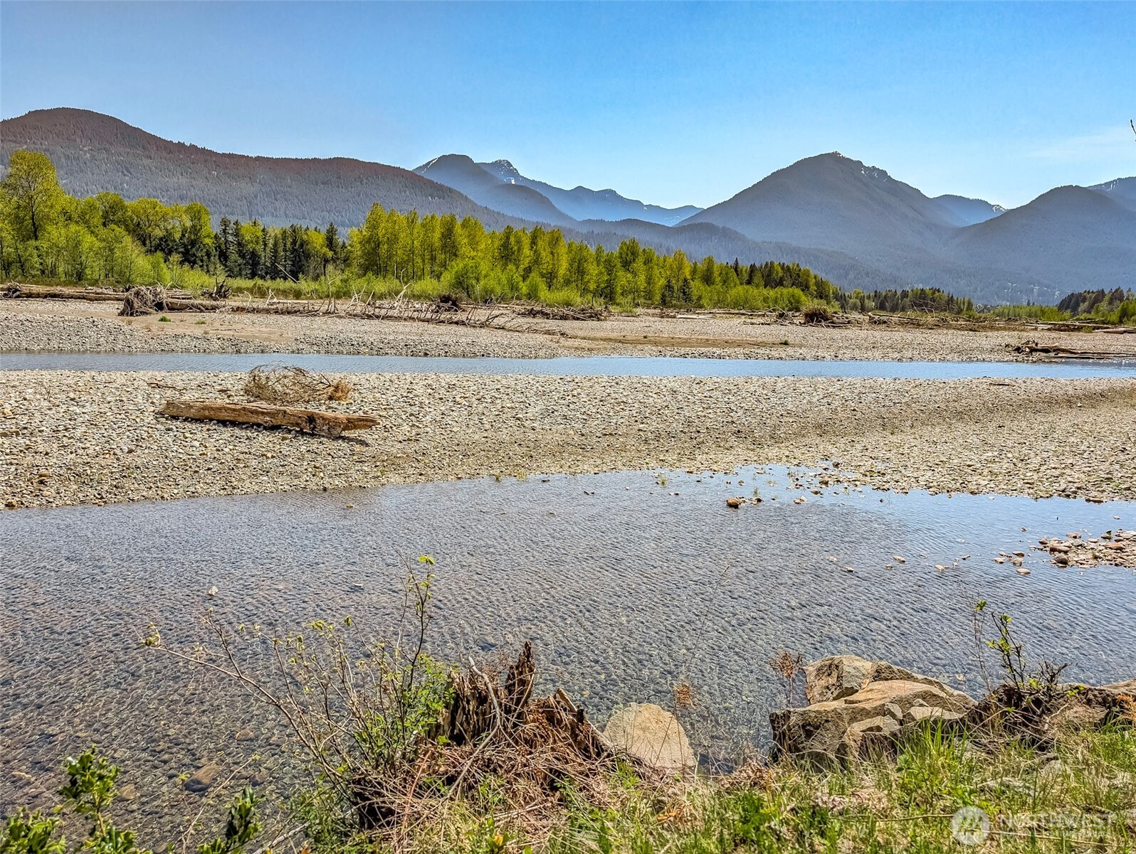 0 Craig Road, Unit LOT A3 Packwood, WA 98361 - Photo 11 of 12 a view of lake with mountain
