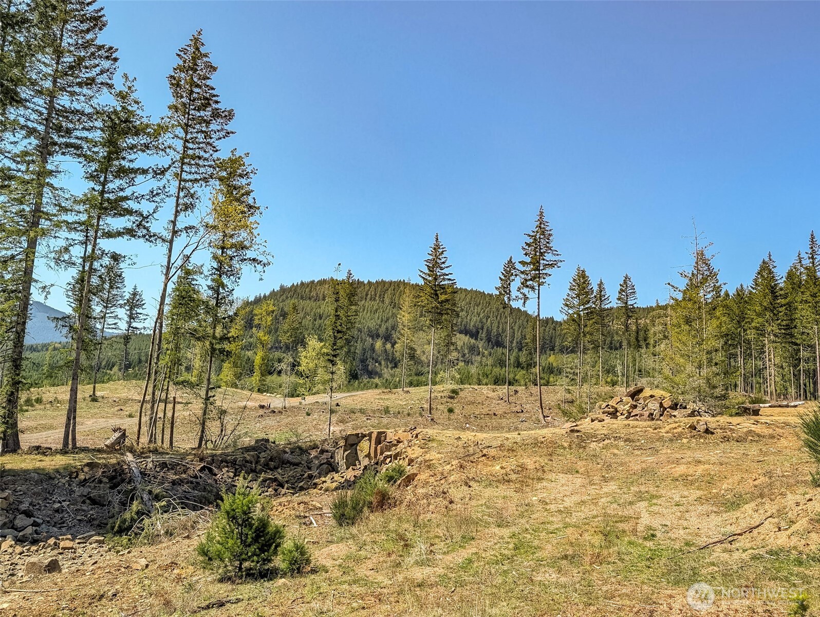 0 Craig Road, Unit LOT A3 Packwood, WA 98361 - Photo 3 of 12 a view of large trees with a yard