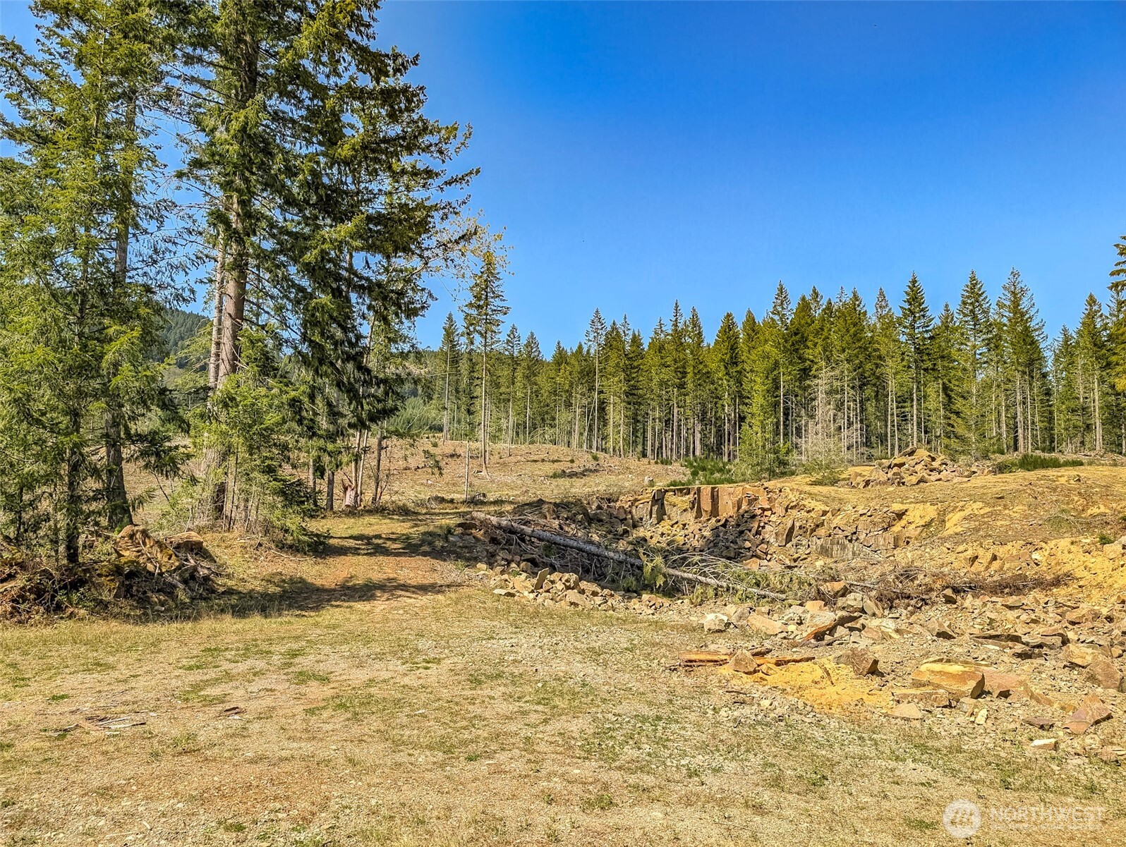 0 Craig Road, Unit LOT A3 Packwood, WA 98361 - Photo 4 of 12