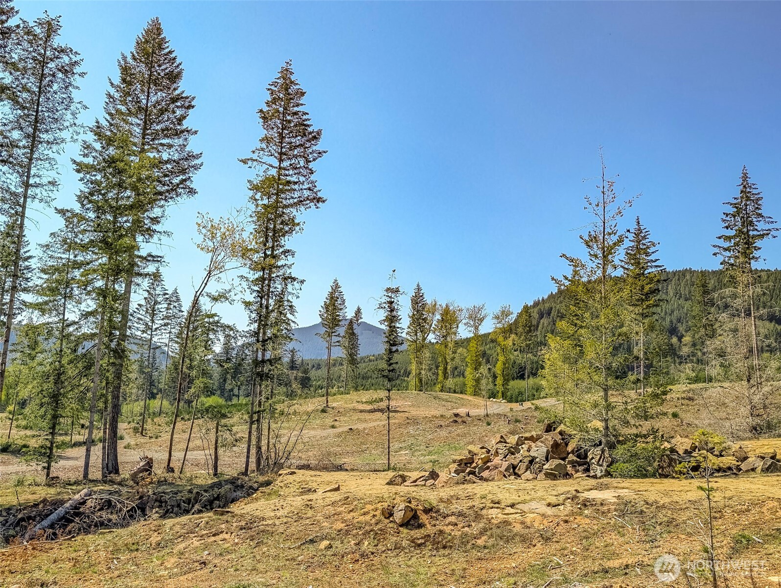 0 Craig Road, Unit LOT A3 Packwood, WA 98361 - Photo 7 of 12 a view of a town with large trees