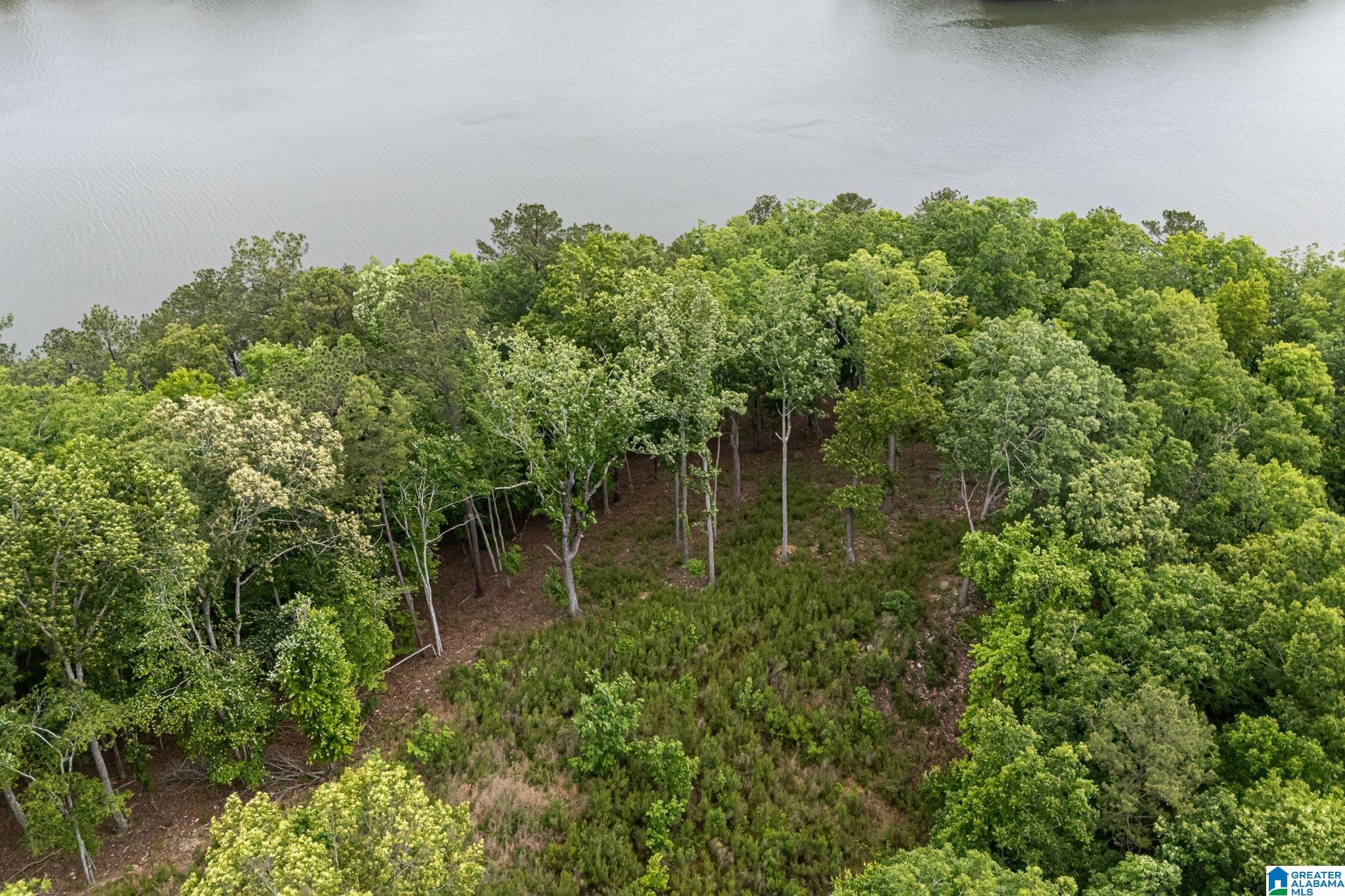 2317 Waldrop Road, Unit 4 AND 5 Ashville, AL 35953 - Photo 31 of 38