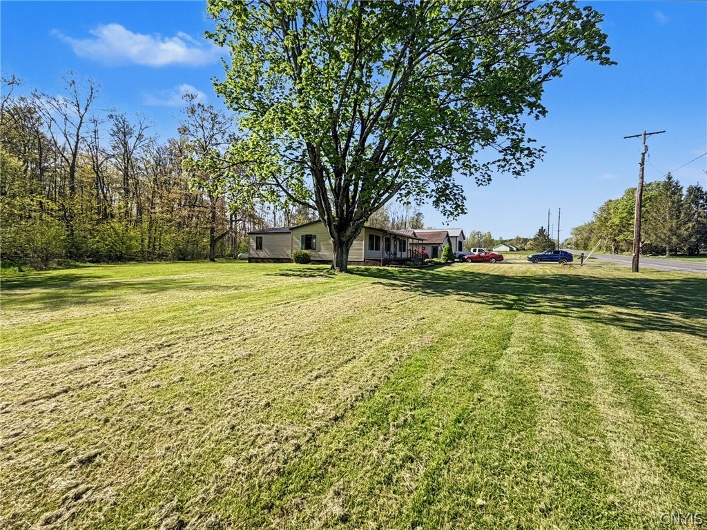 2254 Hanshaw Road Dryden, NY 13068 - Photo 18 of 47 Yard
