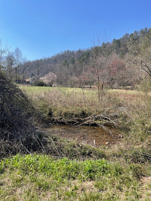 107 Minor Road Marble, NC 28905 - Photo 8 of 40