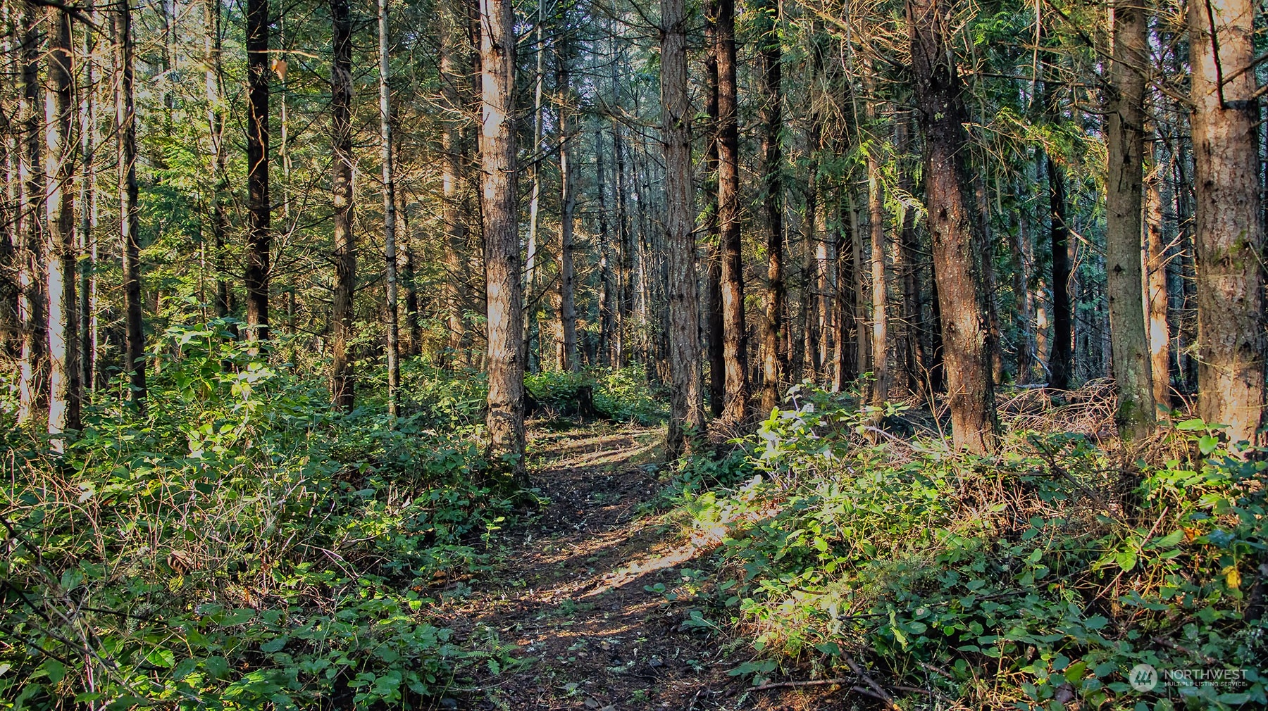9385 Flagler Road Nordland, WA 98358 - Photo 13 of 37 Gallery Image 13